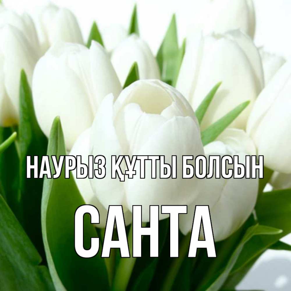 Открытка на каждый день с именем, Санта Наурыз құтты болсын цветы Прикольная открытка с пожеланием онлайн скачать бесплатно 