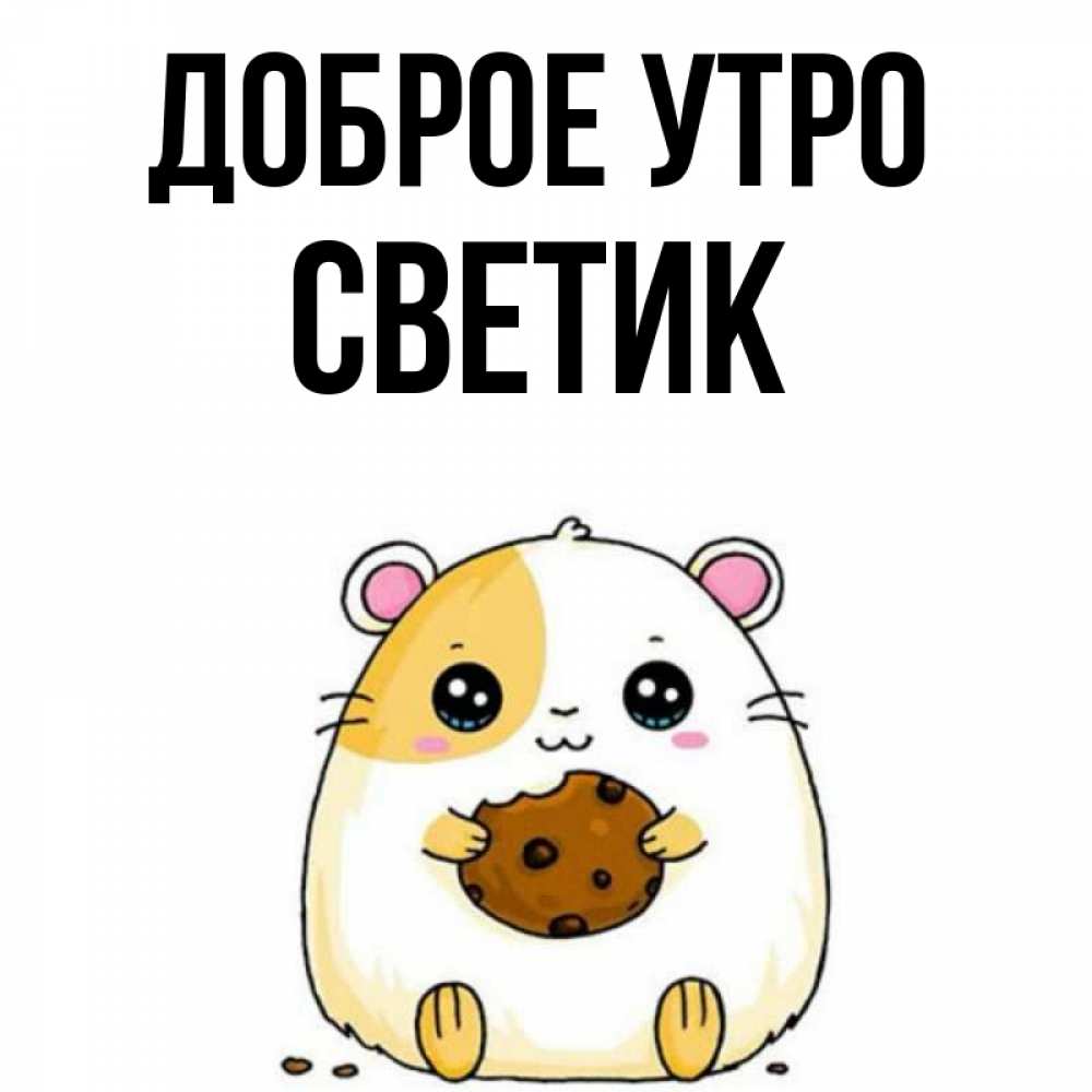 Открытка на каждый день с именем, Светик Доброе утро есть печеньку. Утречко Прикольная открытка с пожеланием онлайн скачать бесплатно 
