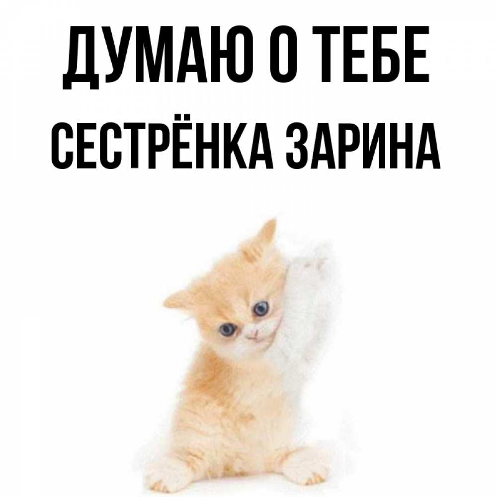Открытка на каждый день с именем, Сестрёнка-Зарина Думаю о тебе зверушки и милота Прикольная открытка с пожеланием онлайн скачать бесплатно 