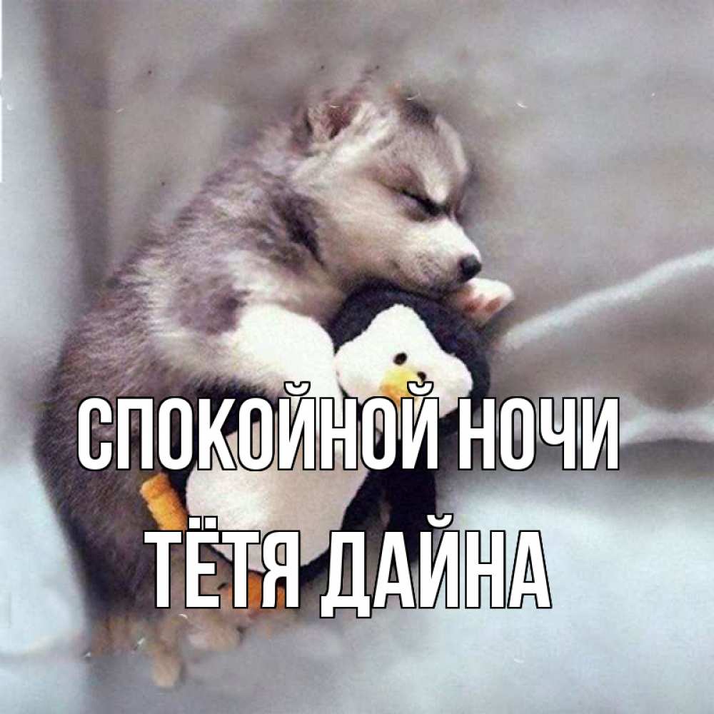 Открытка на каждый день с именем, Тётя-Дайна Спокойной ночи обнимашки щенка и пингвина Прикольная открытка с пожеланием онлайн скачать бесплатно 
