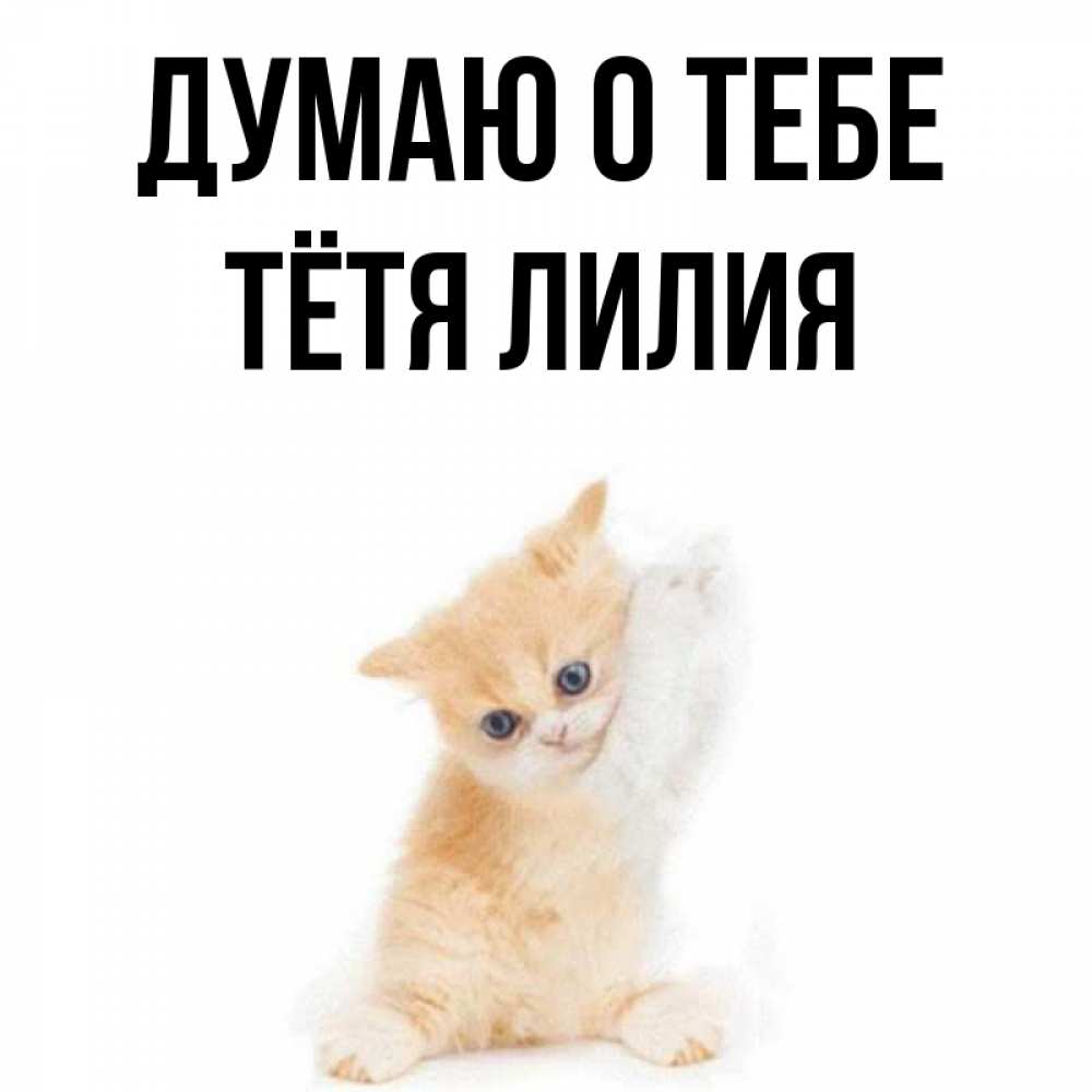 Открытка на каждый день с именем, Тётя-Лилия Думаю о тебе зверушки и милота Прикольная открытка с пожеланием онлайн скачать бесплатно 