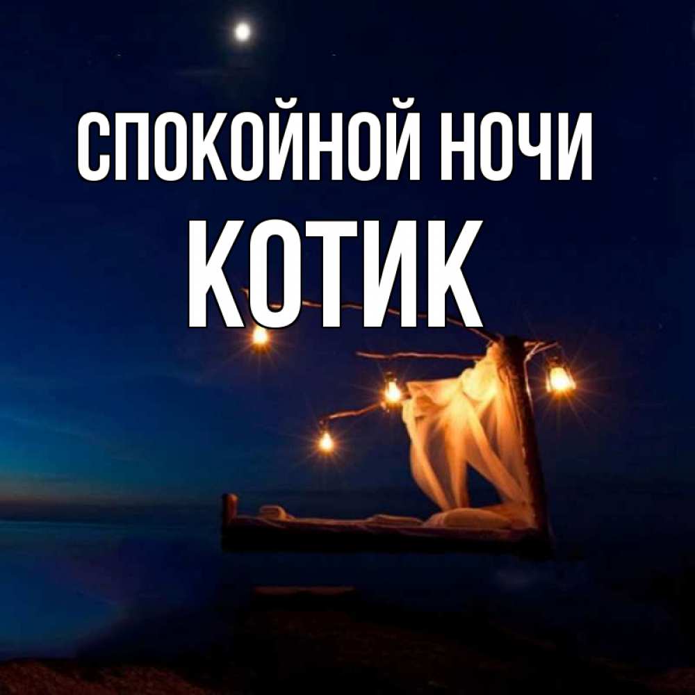 Открытка на каждый день с именем, котик Спокойной ночи милый мой Прикольная открытка с пожеланием онлайн скачать бесплатно 