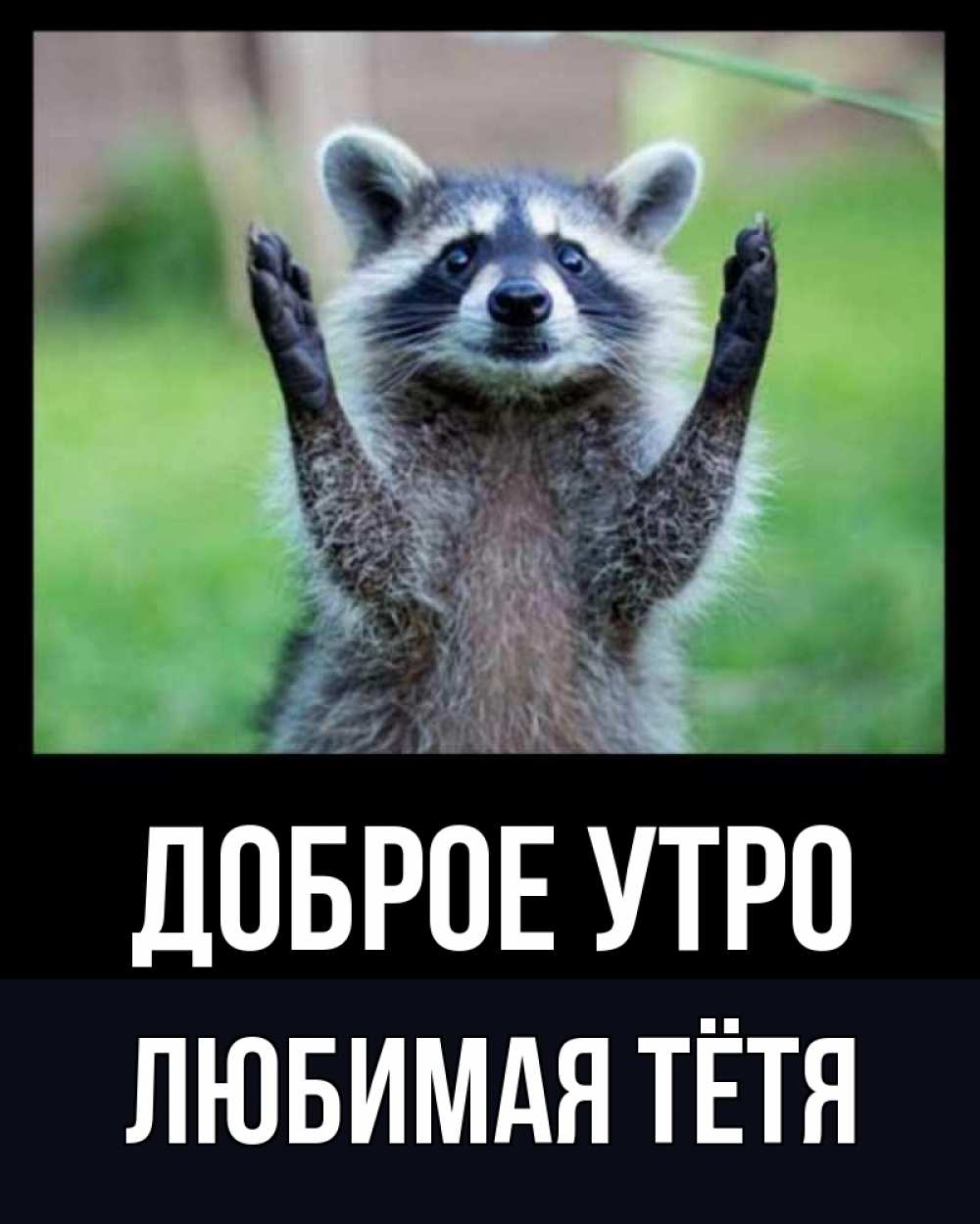 Открытка на каждый день с именем, любимая-Тётя Доброе утро хорошее настроение утречком Прикольная открытка с пожеланием онлайн скачать бесплатно 