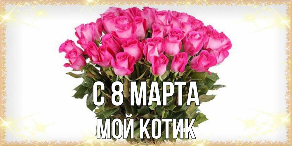 Открытка на каждый день с именем, мой-Котик С 8 МАРТА красивые открытки в оригинальной обработке на международный женский день Прикольная открытка с пожеланием онлайн скачать бесплатно 