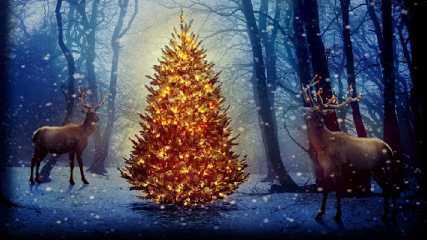 Открытка елка в лесу и олени  олени, новогодняя елка  С рождеством 
