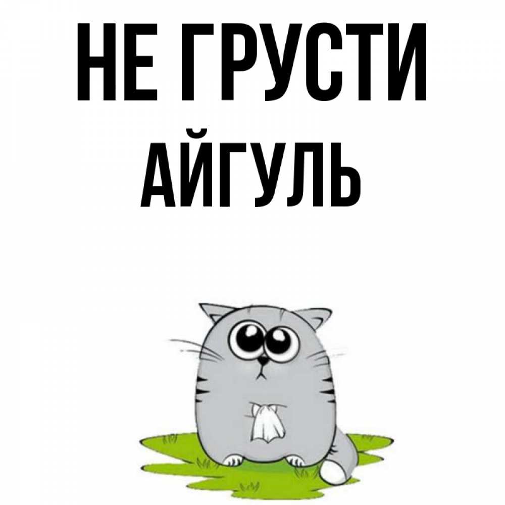 Открытка на каждый день с именем, Айгуль Не грусти грустный котяра Прикольная открытка с пожеланием онлайн скачать бесплатно 