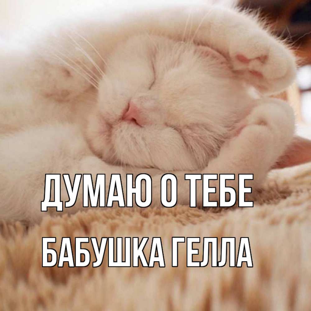 Открытка на каждый день с именем, Бабушка-Гелла Думаю о тебе для любимой девушки милота Прикольная открытка с пожеланием онлайн скачать бесплатно 