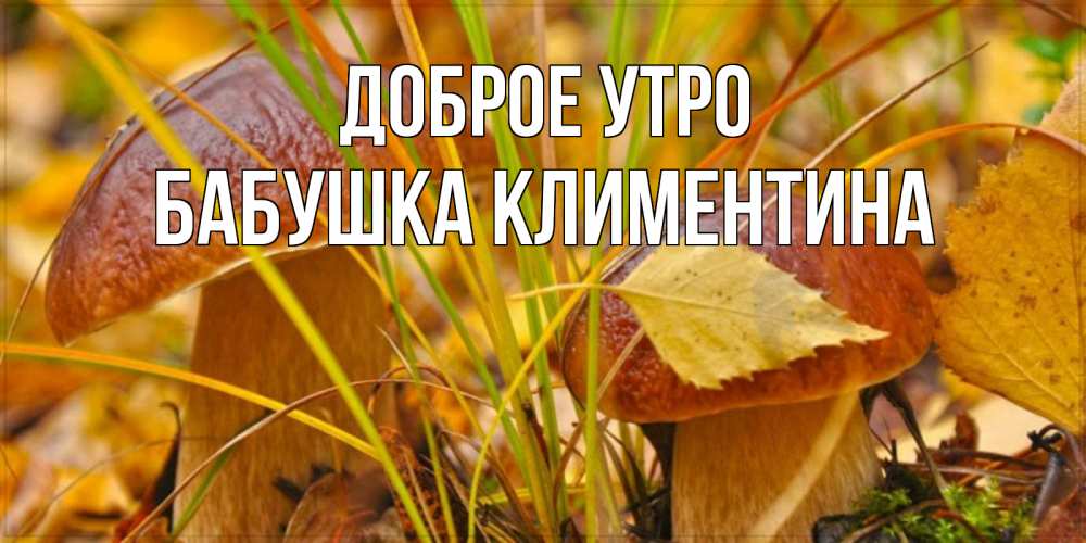 Открытка на каждый день с именем, Бабушка-Климентина Доброе утро осенние грибы Прикольная открытка с пожеланием онлайн скачать бесплатно 