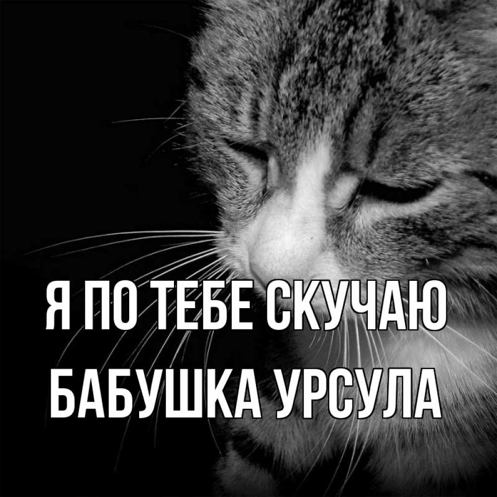 Открытка на каждый день с именем, Бабушка-Урсула Я по тебе скучаю мне скучно Прикольная открытка с пожеланием онлайн скачать бесплатно 