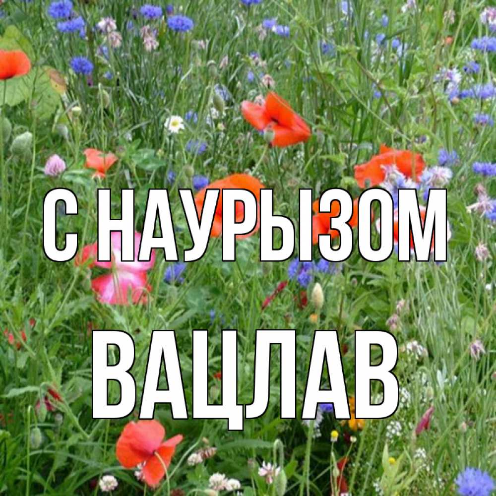 Открытка на каждый день с именем, Вацлав С наурызом праздник весны наурыз супер открытка Прикольная открытка с пожеланием онлайн скачать бесплатно 