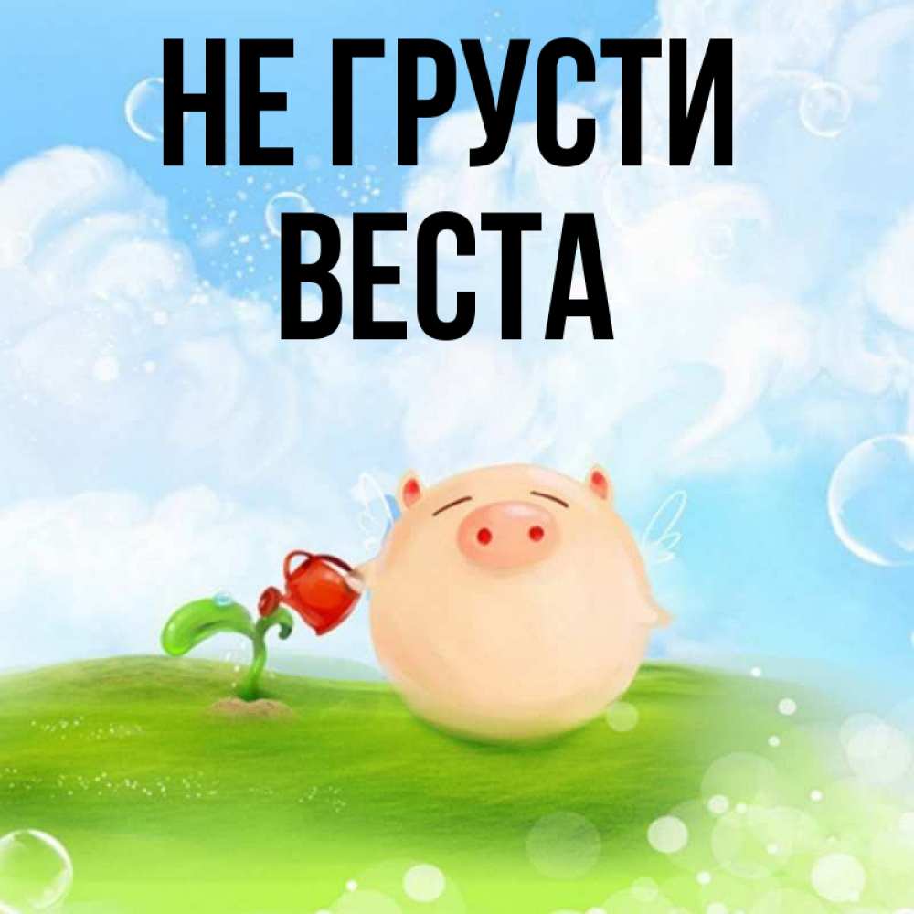 Открытка на каждый день с именем, Веста Не грусти поливает цветок порося Прикольная открытка с пожеланием онлайн скачать бесплатно 