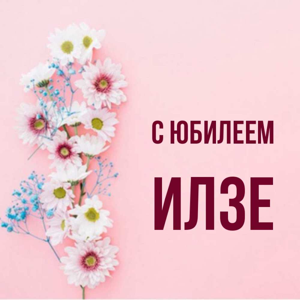 Открытка на каждый день с именем, Илзе С юбилеем Родная моя с днем рождения тебя картинка с цветами белыми и голубыми Прикольная открытка с пожеланием онлайн скачать бесплатно 