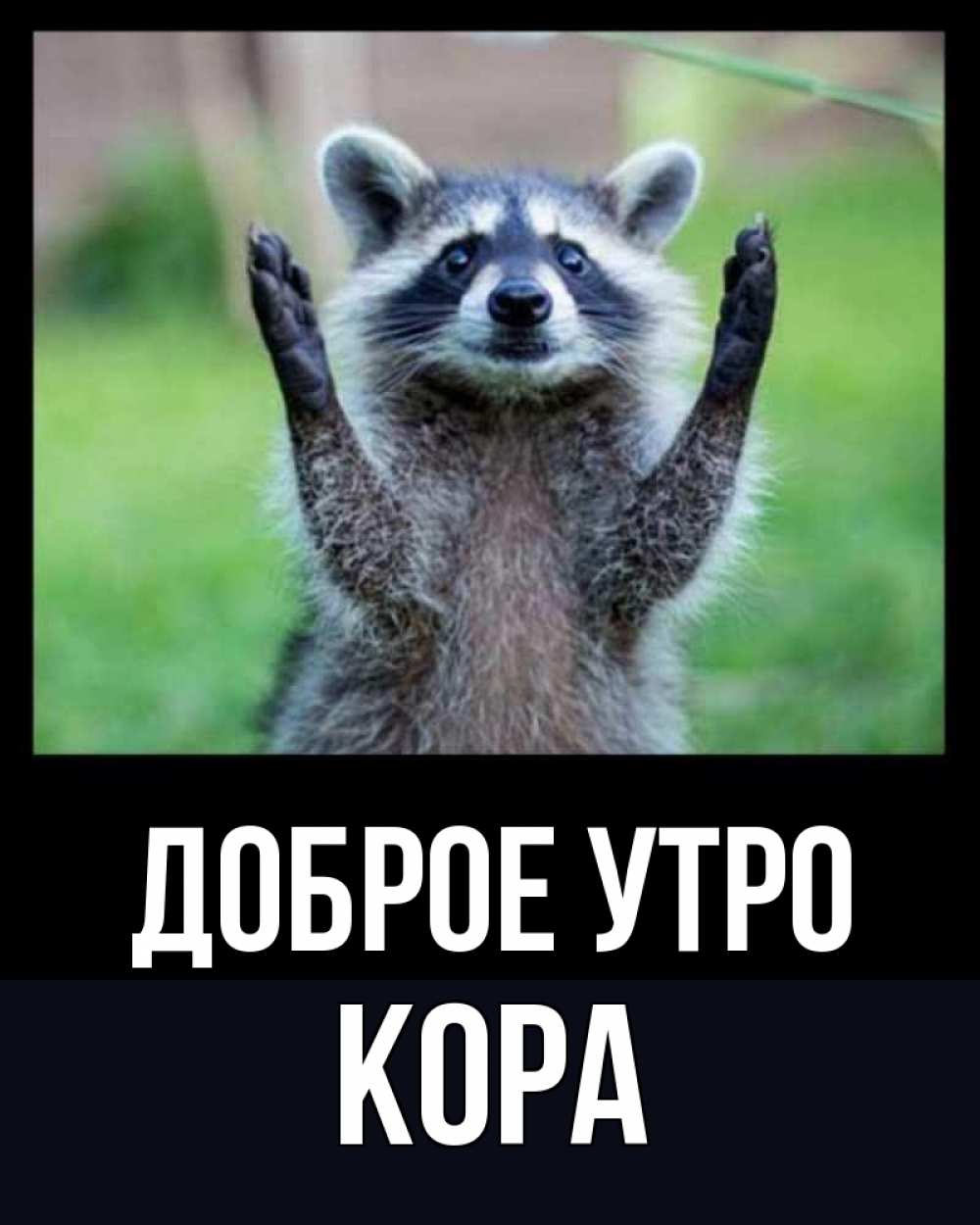 Открытка на каждый день с именем, Кора Доброе утро хорошее настроение утречком Прикольная открытка с пожеланием онлайн скачать бесплатно 