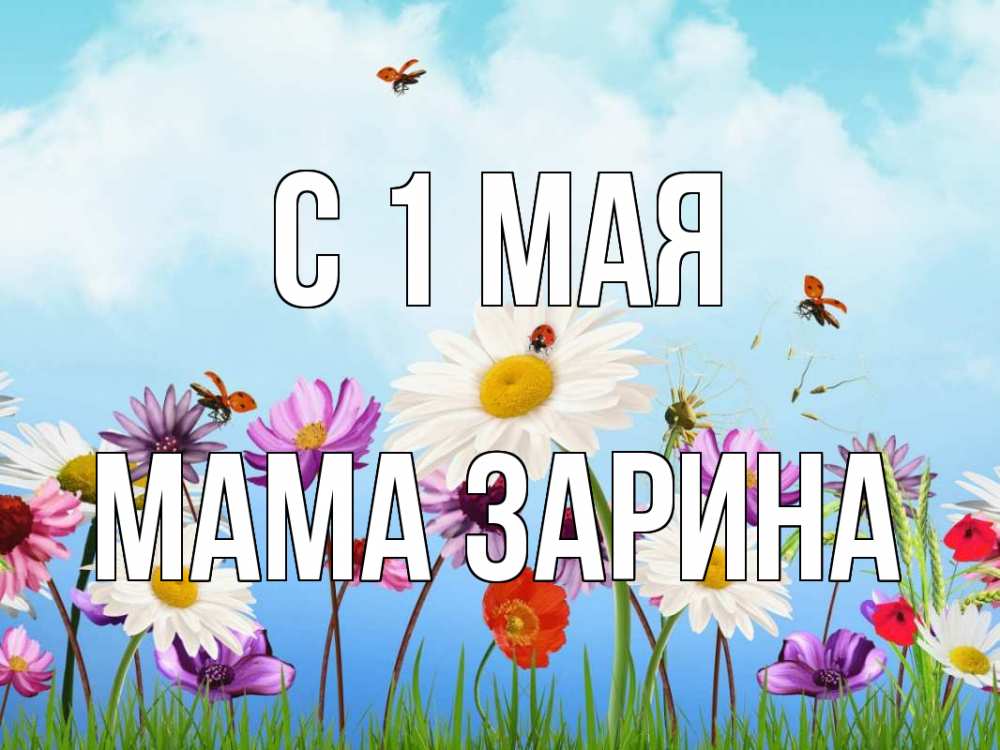 Открытка на каждый день с именем, Мама-Зарина С 1 мая С 1 мая Прикольная открытка с пожеланием онлайн скачать бесплатно 