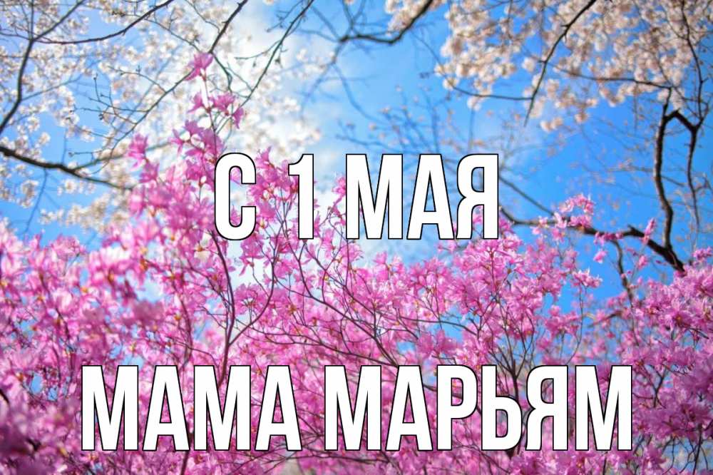 Открытка на каждый день с именем, Мама-Марьям С 1 мая С 1 мая Прикольная открытка с пожеланием онлайн скачать бесплатно 