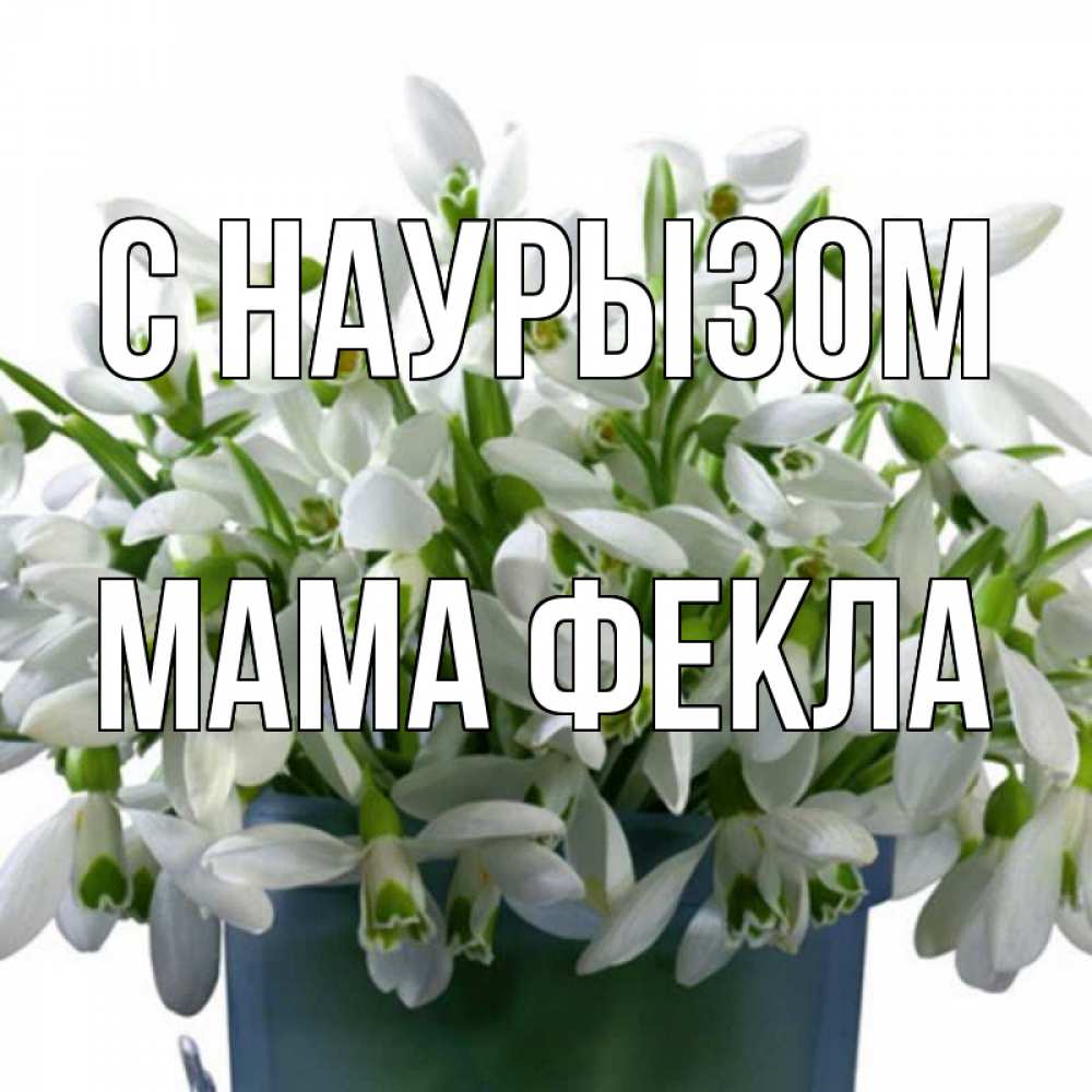 Открытка на каждый день с именем, Мама-Фекла С наурызом цветы к наурызу новый год в Казахстане Прикольная открытка с пожеланием онлайн скачать бесплатно 