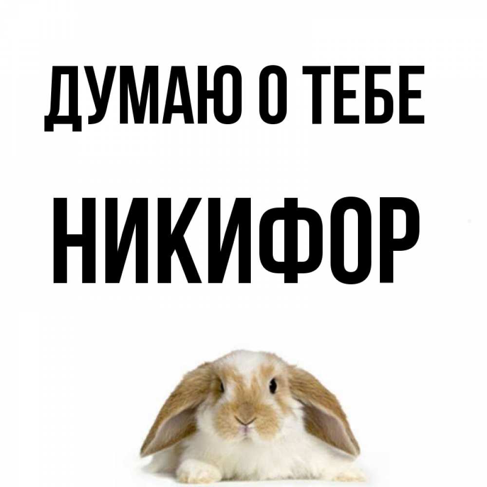 Открытка на каждый день с именем, Никифор Думаю о тебе подписать своими руками онлайн Прикольная открытка с пожеланием онлайн скачать бесплатно 