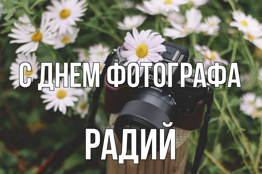 Открытка на каждый день с именем, Радий С днем фотографа с днем фотографа Прикольная открытка с пожеланием онлайн скачать бесплатно 