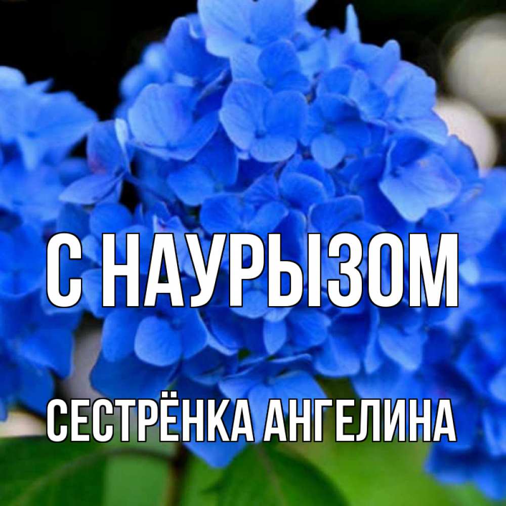 Открытка на каждый день с именем, Сестрёнка-Ангелина С наурызом синие цветы Прикольная открытка с пожеланием онлайн скачать бесплатно 
