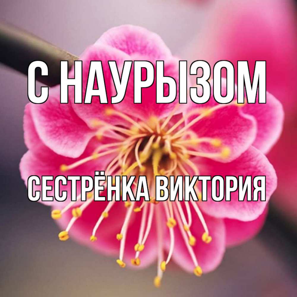 Открытка на каждый день с именем, Сестрёнка-Виктория С наурызом цветы Прикольная открытка с пожеланием онлайн скачать бесплатно 