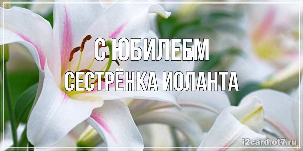 Открытка на каждый день с именем, Сестрёнка-Иоланта С юбилеем открытка с белой лилией Прикольная открытка с пожеланием онлайн скачать бесплатно 