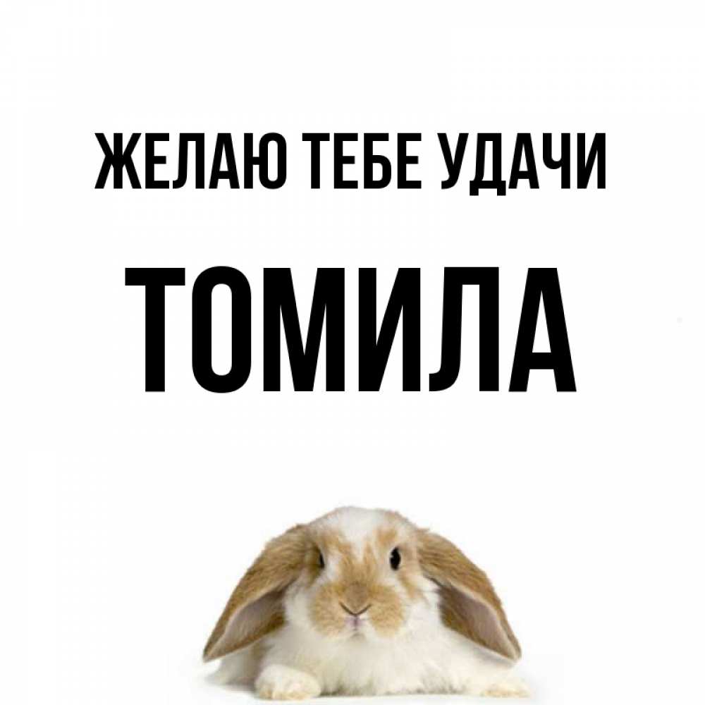 Открытка на каждый день с именем, Томила Желаю тебе удачи открытки с произвольным текстом который можно вставить в открытку и создать ее самостоятельно бесплатно онлайн Прикольная открытка с пожеланием онлайн скачать бесплатно 