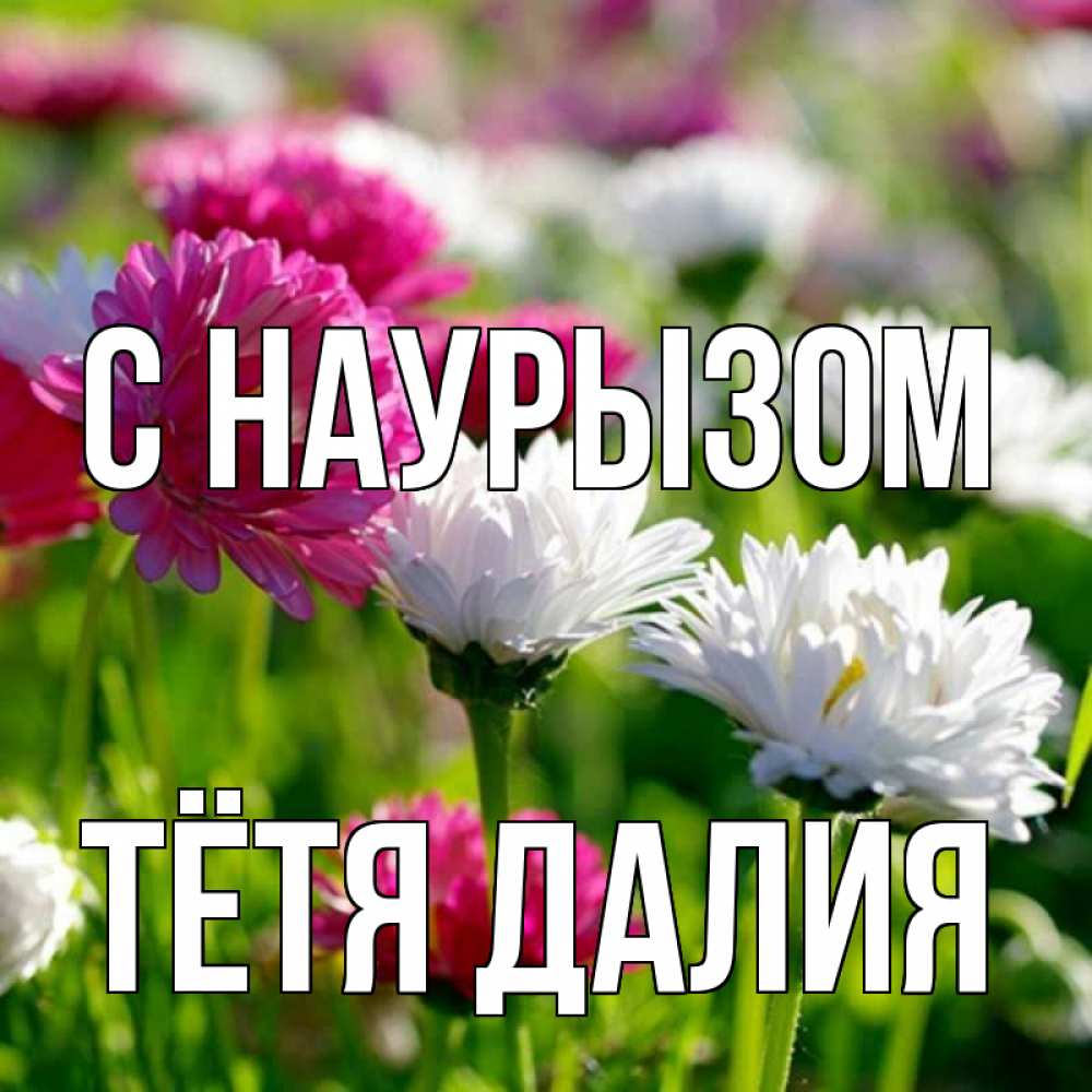 Открытка на каждый день с именем, Тётя-Далия С наурызом праздник весны наурыз красота Прикольная открытка с пожеланием онлайн скачать бесплатно 