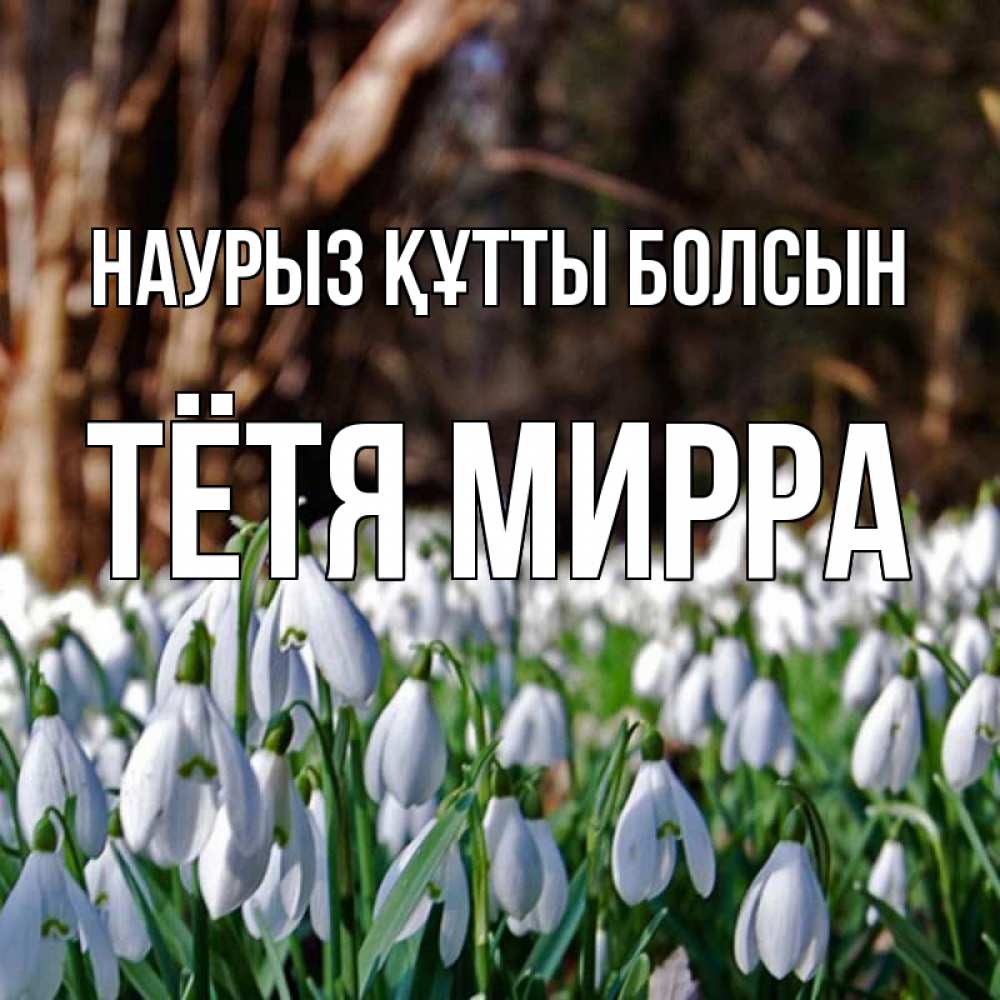 Открытка на каждый день с именем, Тётя-Мирра Наурыз құтты болсын с подснежниками 1 Прикольная открытка с пожеланием онлайн скачать бесплатно 