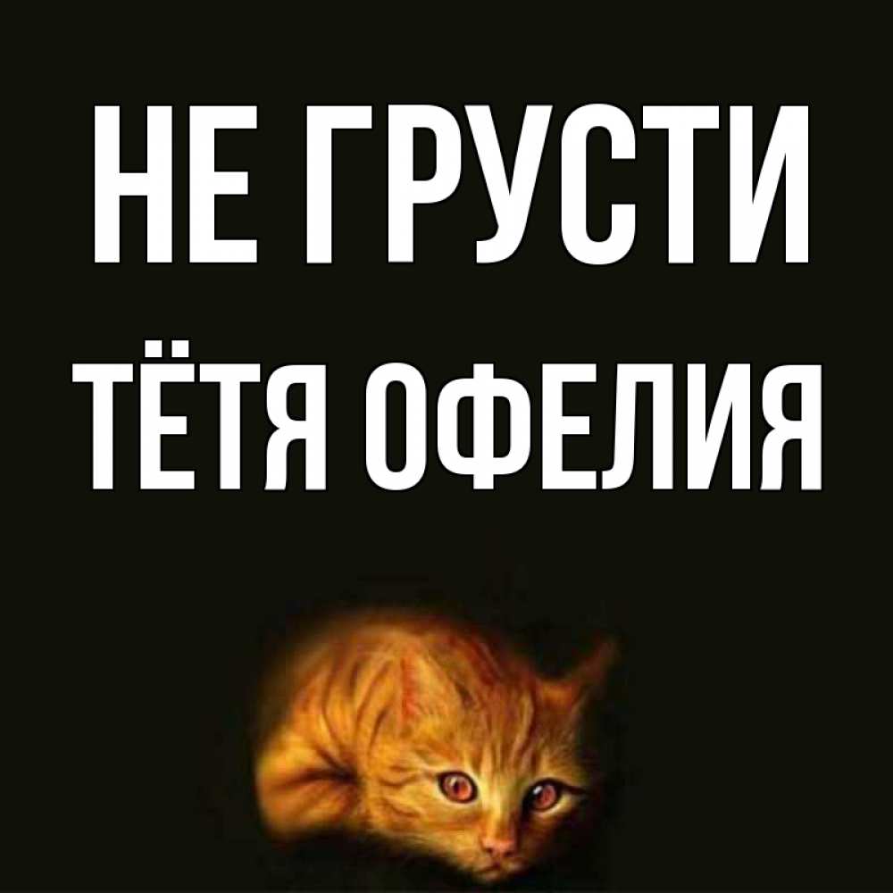 Открытка на каждый день с именем, Тётя-Офелия Не грусти лежащий кот в темноте Прикольная открытка с пожеланием онлайн скачать бесплатно 