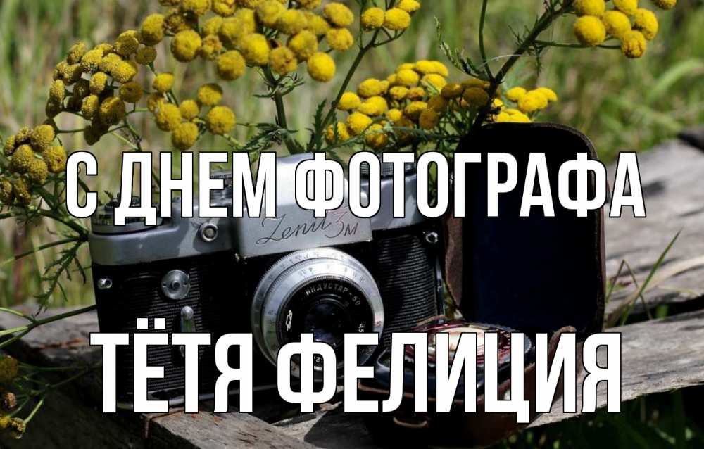 Открытка на каждый день с именем, Тётя-Фелиция С днем фотографа с днем фотографа Прикольная открытка с пожеланием онлайн скачать бесплатно 