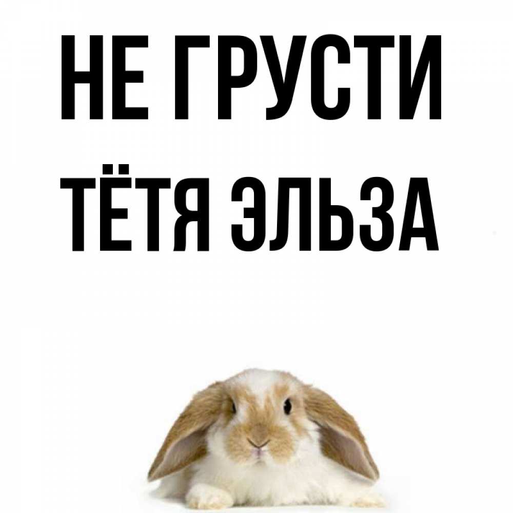Открытка на каждый день с именем, Тётя-Эльза Не грусти коричнево белый заяц с большими ушками Прикольная открытка с пожеланием онлайн скачать бесплатно 