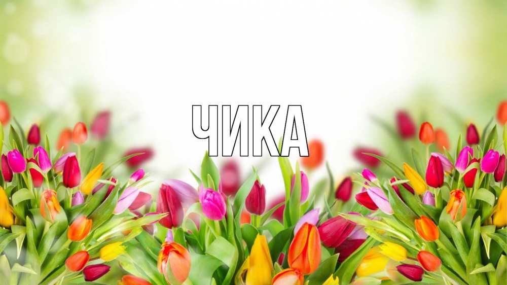 Открытка на каждый день с именем, Чика Главная С 1 мая Прикольная открытка с пожеланием онлайн скачать бесплатно 