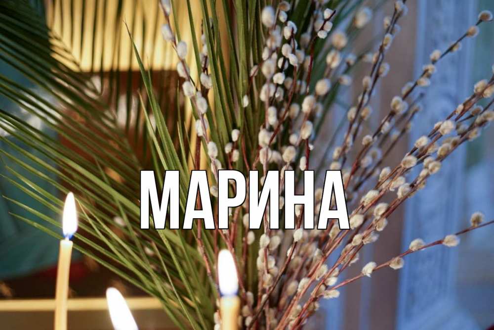 Открытка на каждый день с именем, Марина Главная верба Прикольная открытка с пожеланием онлайн скачать бесплатно 