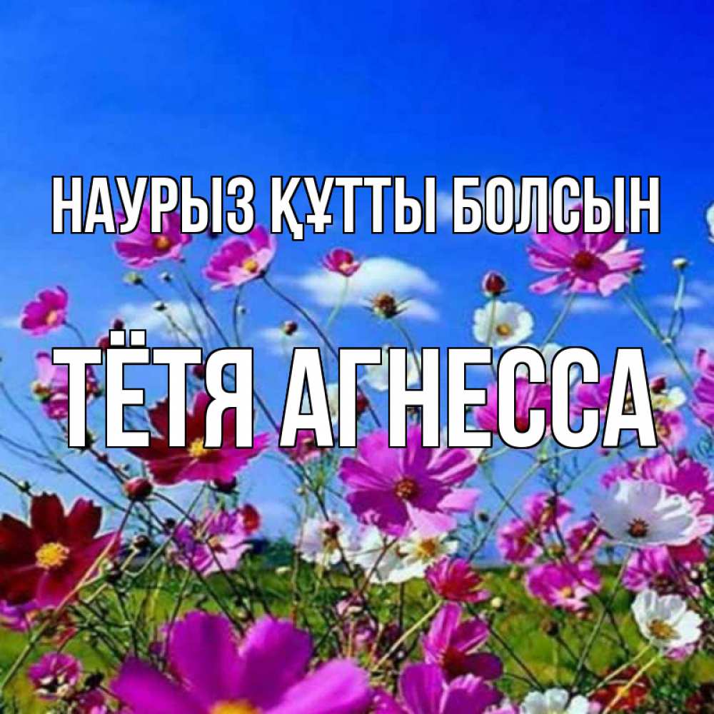 Открытка на каждый день с именем, Тётя-Агнесса Наурыз құтты болсын цветы Прикольная открытка с пожеланием онлайн скачать бесплатно 