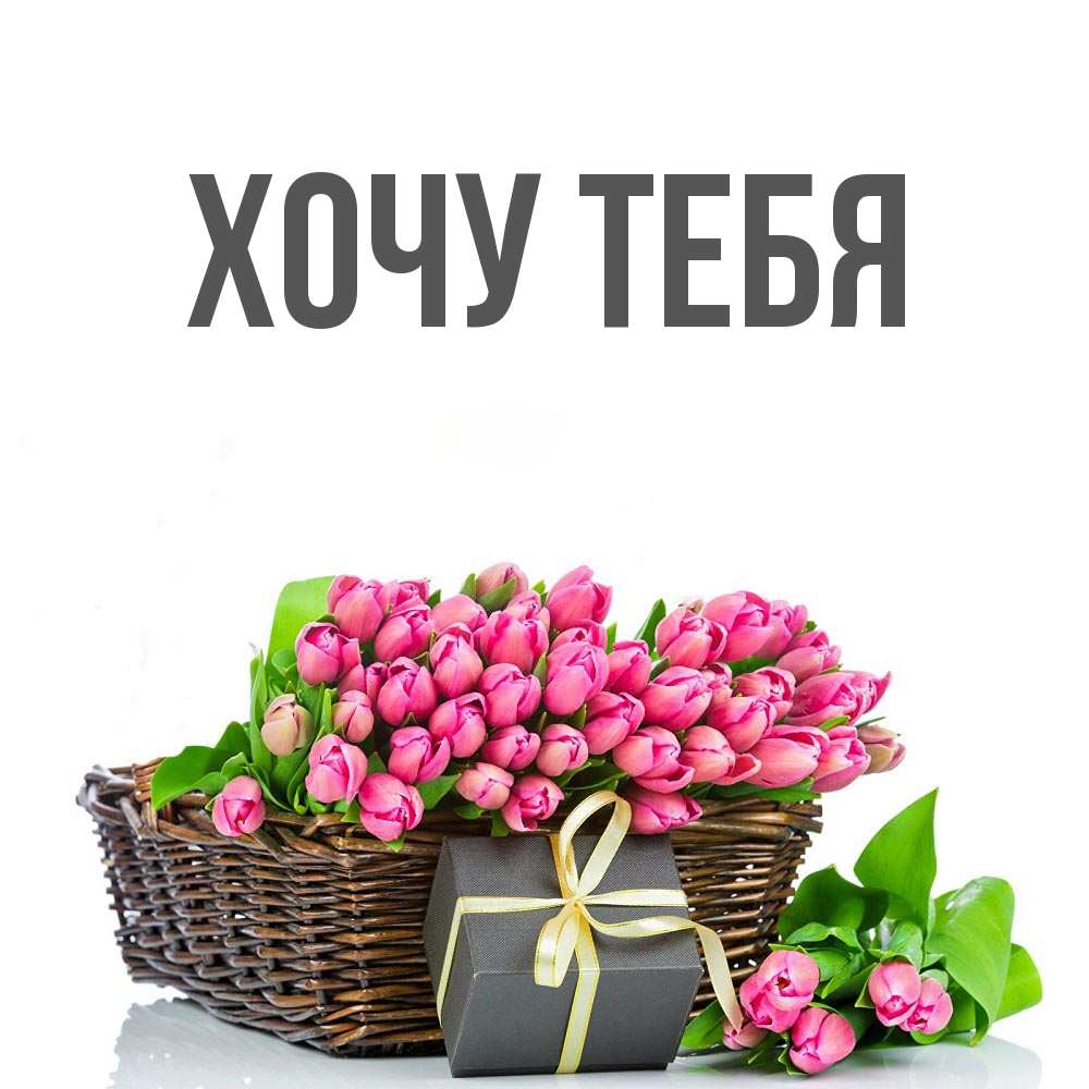 Открытка на каждый день с именем, Хочу-тебя Главная цветы Прикольная открытка с пожеланием онлайн скачать бесплатно 