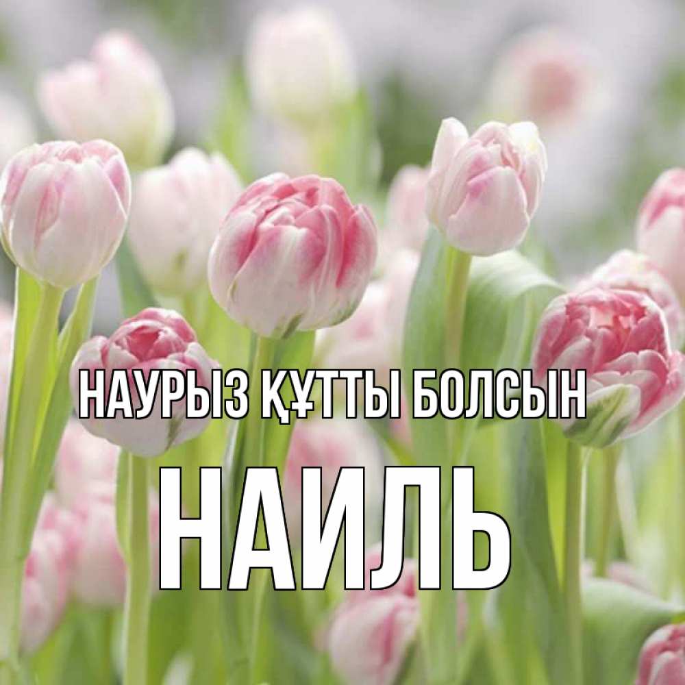 Открытка на каждый день с именем, Наиль Наурыз құтты болсын цветы Прикольная открытка с пожеланием онлайн скачать бесплатно 