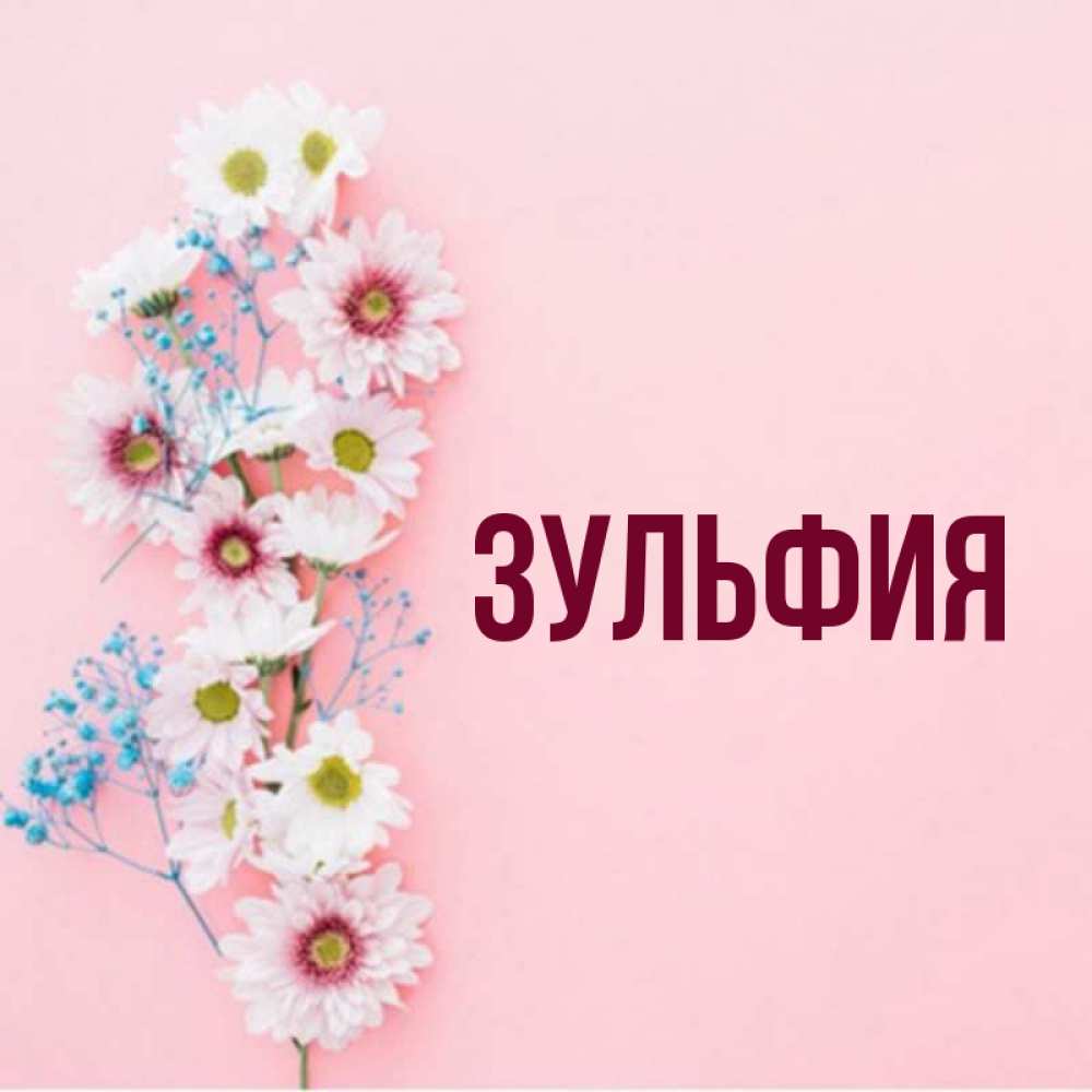 Поздравления С Днем Рождения Зульфия Картинки