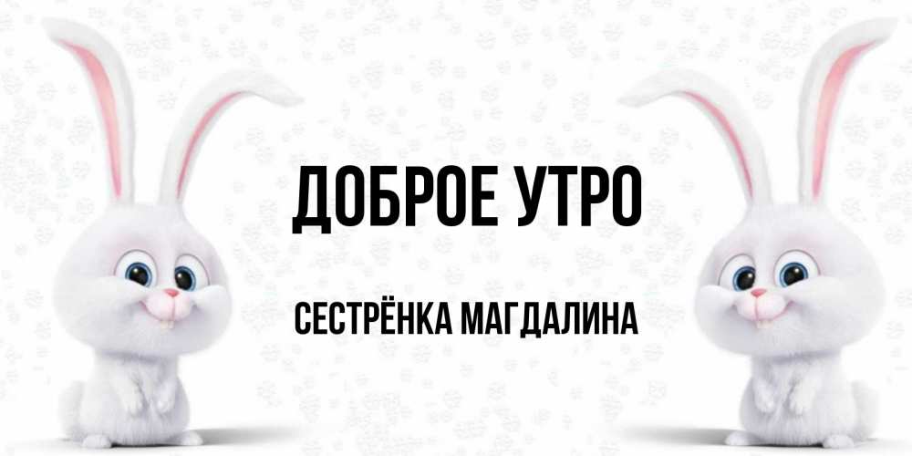 Открытка на каждый день с именем, Сестрёнка-Магдалина Доброе утро кролики с длинными ушками Прикольная открытка с пожеланием онлайн скачать бесплатно 