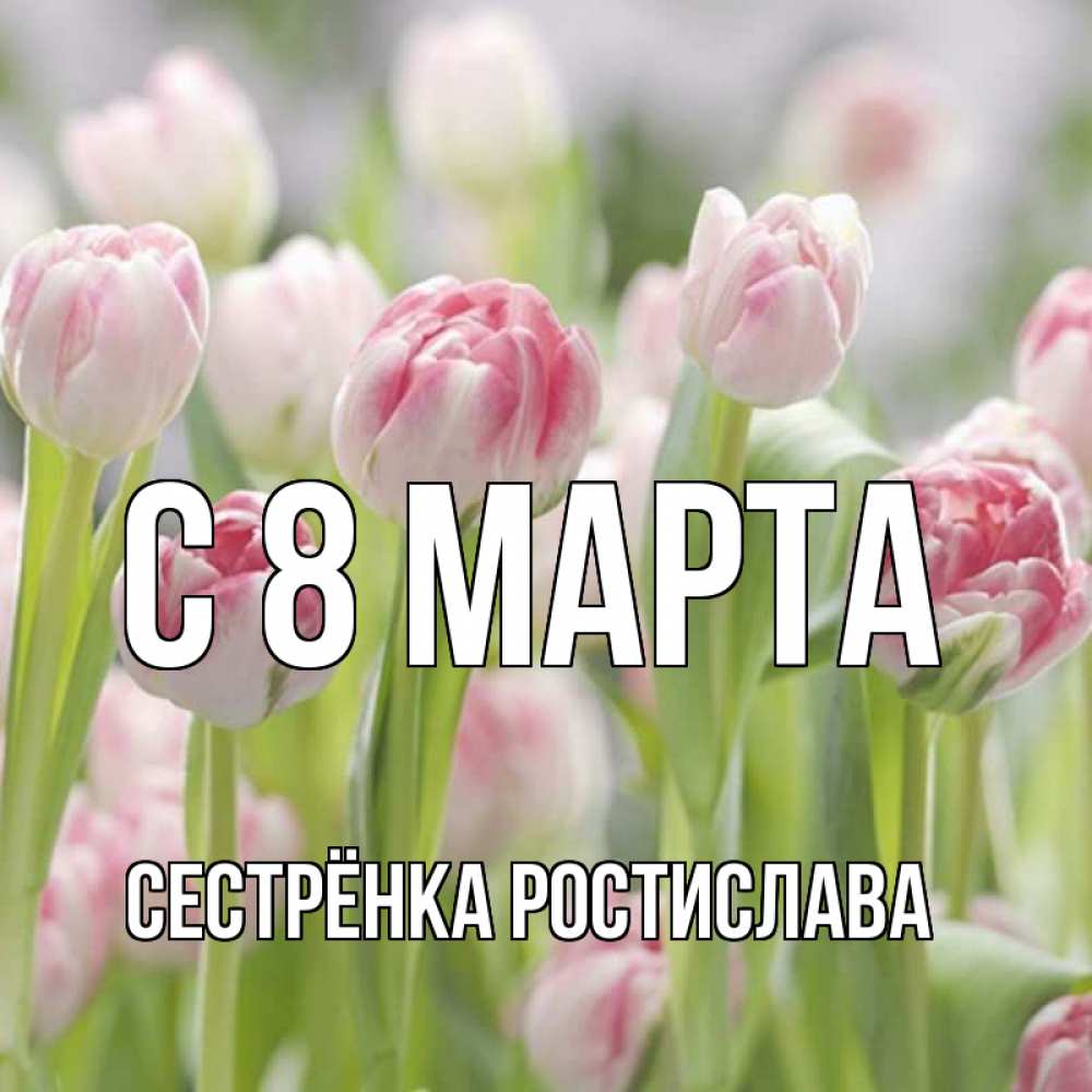 Открытка на каждый день с именем, Сестрёнка-Ростислава С 8 МАРТА цветы Прикольная открытка с пожеланием онлайн скачать бесплатно 