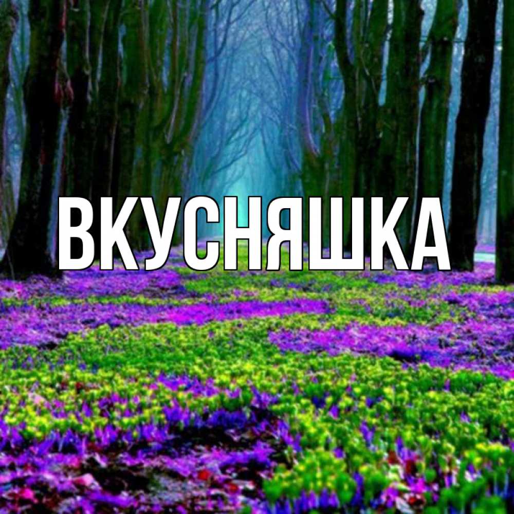 Открытка на каждый день с именем, Вкусняшка Главная фиолетовые цветы в лесу 1 Прикольная открытка с пожеланием онлайн скачать бесплатно 