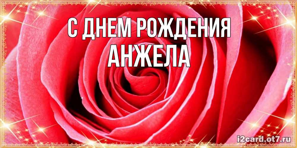 Открытка на каждый день с именем, Анжела С днем рождения розовая роза очень крупный бутон Прикольная открытка с пожеланием онлайн скачать бесплатно 