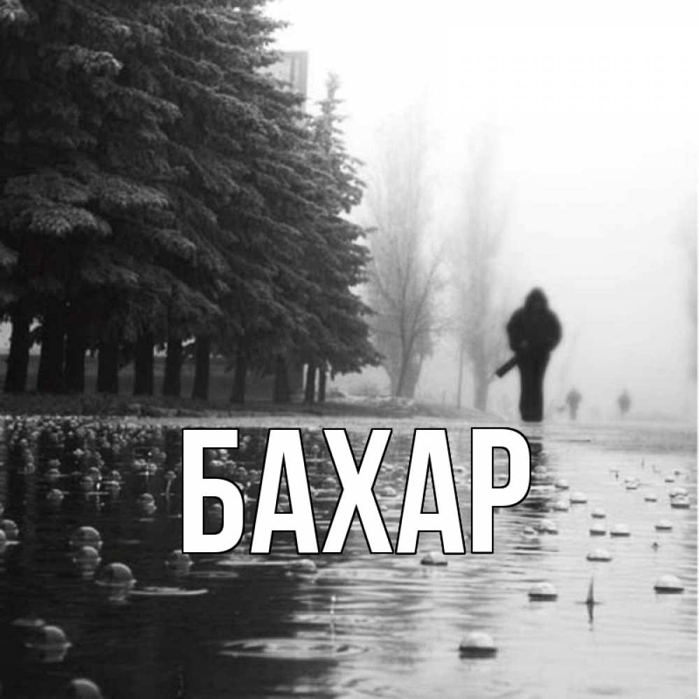 Открытка на каждый день с именем, Бахар Главная улица под дождем Прикольная открытка с пожеланием онлайн скачать бесплатно 