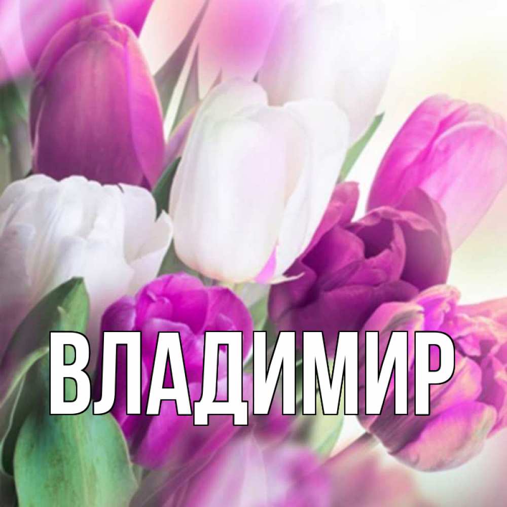 Открытка на каждый день с именем, Владимир Главная весна 1 Прикольная открытка с пожеланием онлайн скачать бесплатно 