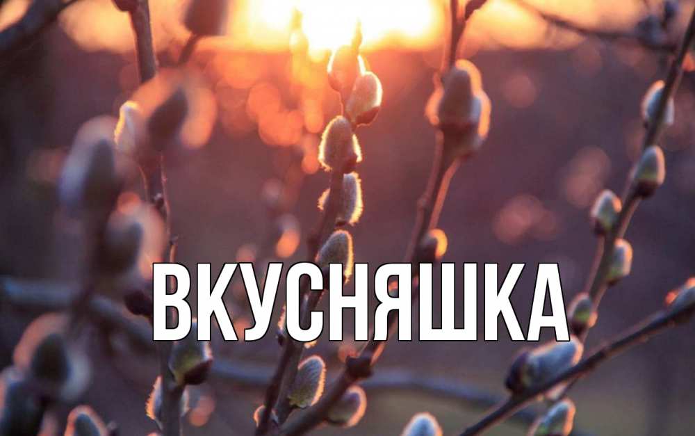 Открытка на каждый день с именем, Вкусняшка Главная верба Прикольная открытка с пожеланием онлайн скачать бесплатно 