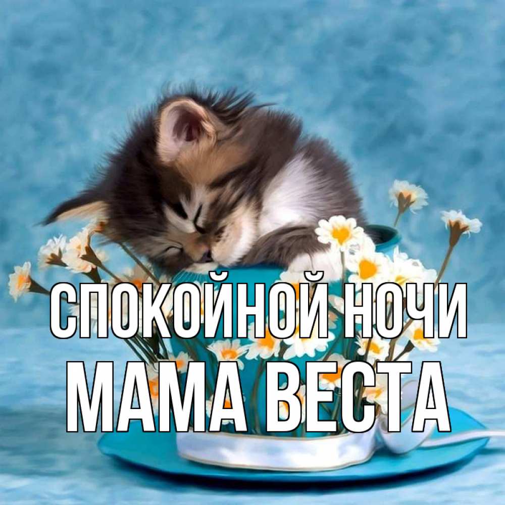 Открытка на каждый день с именем, Мама-Веста Спокойной ночи котенок спит в кружке с блюдцем Прикольная открытка с пожеланием онлайн скачать бесплатно 