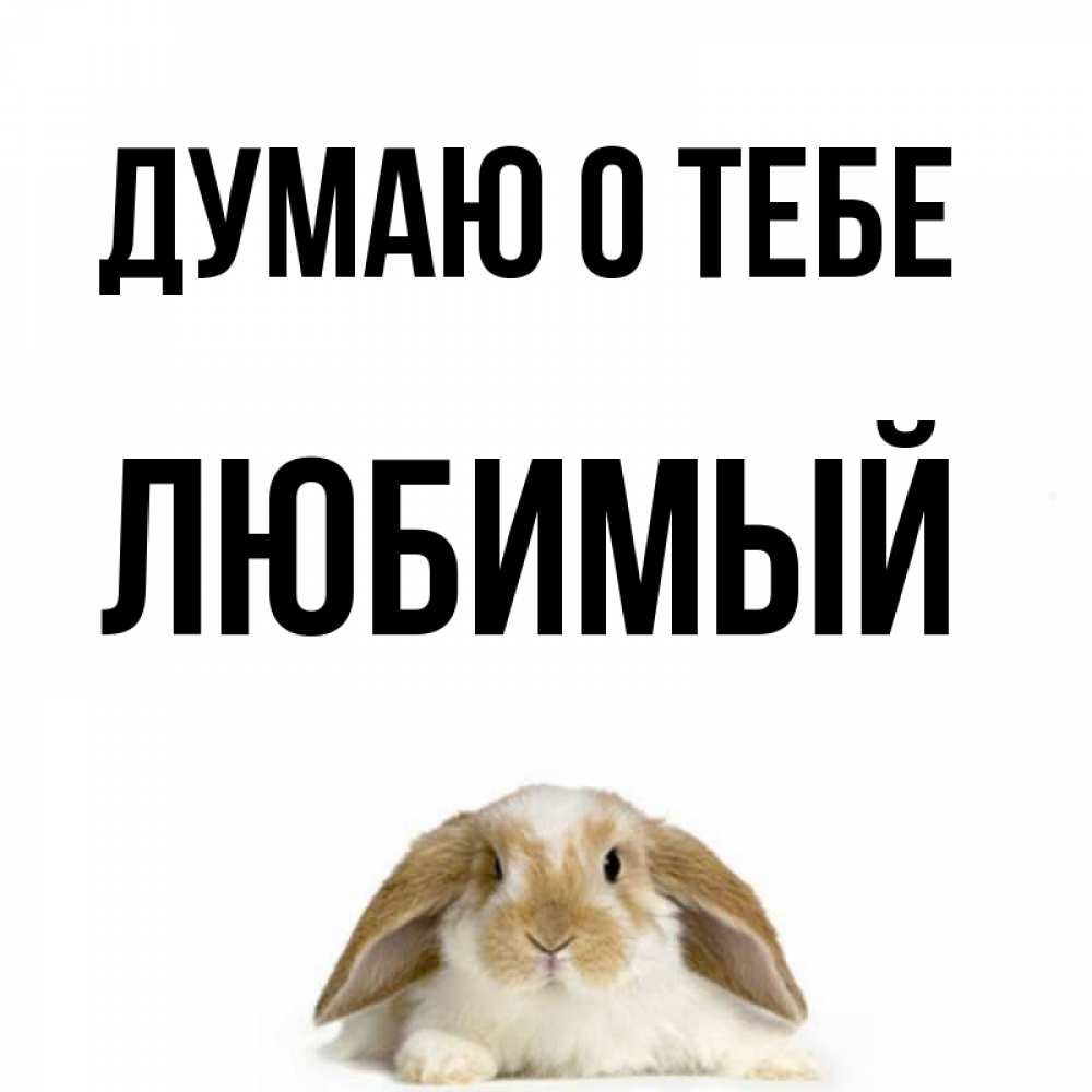 Открытка на каждый день с именем, любимый Думаю о тебе подписать своими руками онлайн Прикольная открытка с пожеланием онлайн скачать бесплатно 