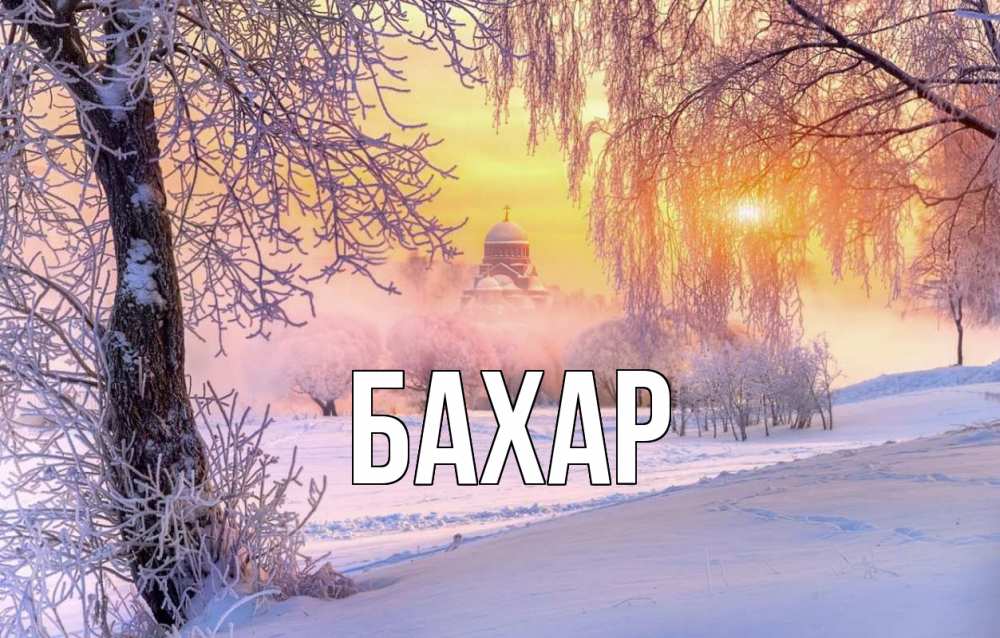 Открытка на каждый день с именем, Бахар Главная рождество, лес, зима 1 Прикольная открытка с пожеланием онлайн скачать бесплатно 