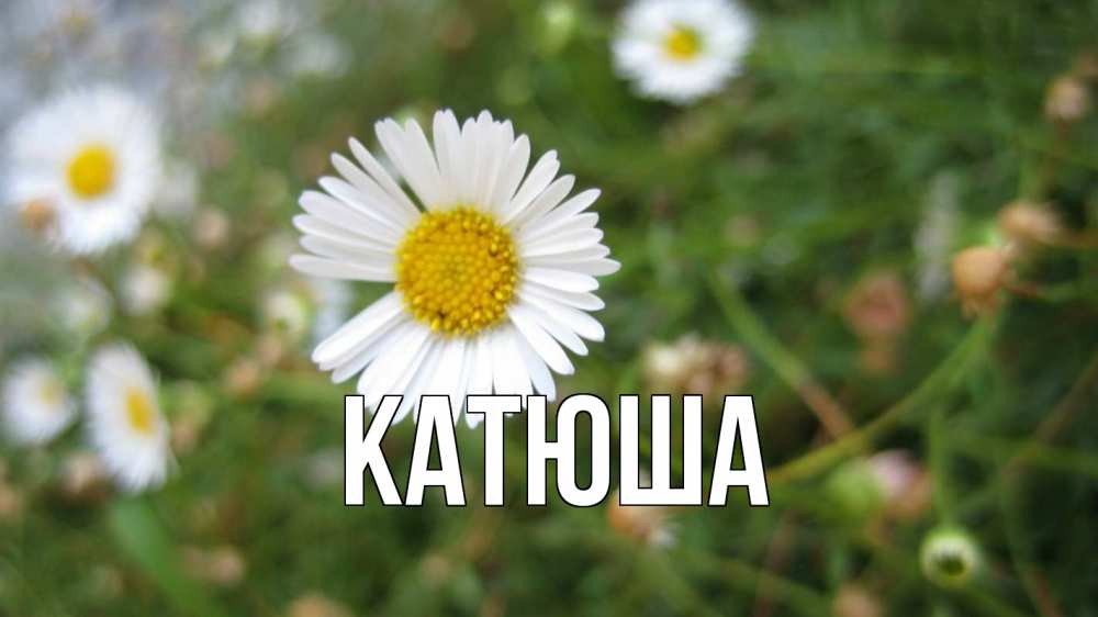 Открытка на каждый день с именем, Катюша Главная с днем семьи Прикольная открытка с пожеланием онлайн скачать бесплатно 