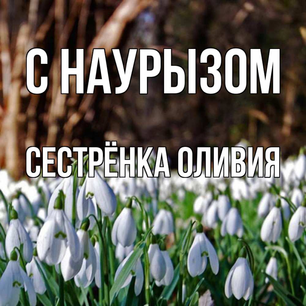 Открытка на каждый день с именем, Сестрёнка-Оливия С наурызом с подснежниками 1 Прикольная открытка с пожеланием онлайн скачать бесплатно 