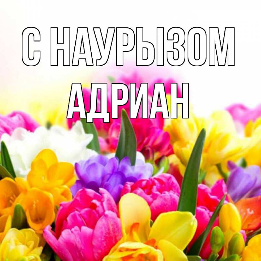 Открытка на каждый день с именем, Адриан С наурызом тюльпаны Прикольная открытка с пожеланием онлайн скачать бесплатно 